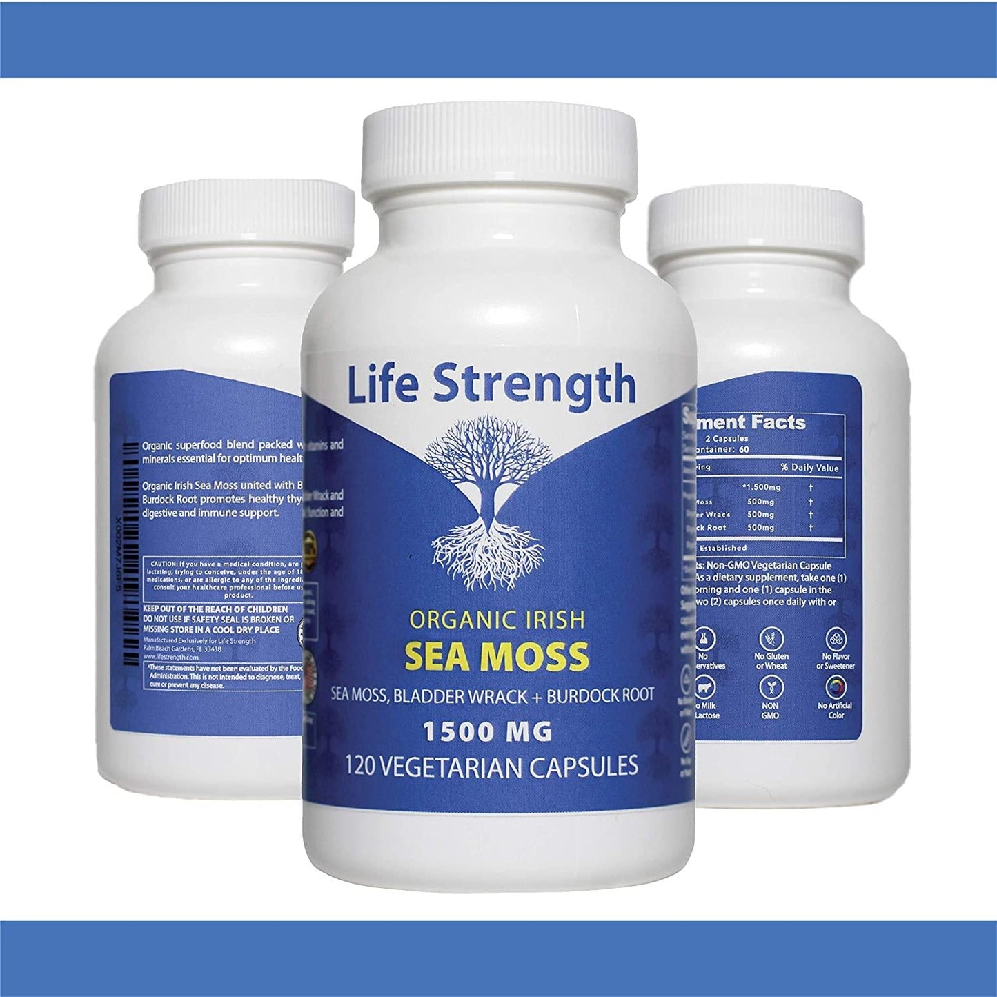 Life Strength Organic Sea Moss 120 CT Wildcrafted Irish Sea Moss and Bladderwrack Burdock Root Finest Ingredients (1 Bottle 120 CT)