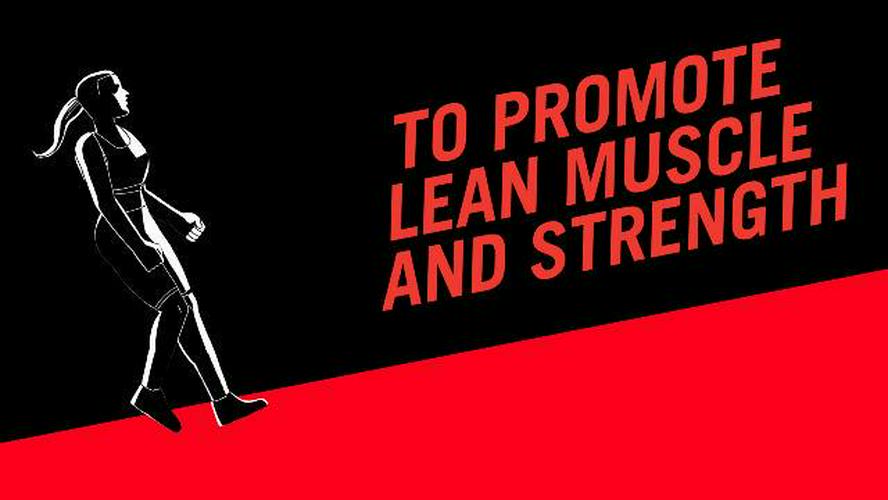 MET-Rx Protein Plus Protein Bar, Peanut Butter Cup, 4 Count Value Pack, High Protein Bar with Vitamins to Support Energy Levels and Muscle Strength, Gluten Free