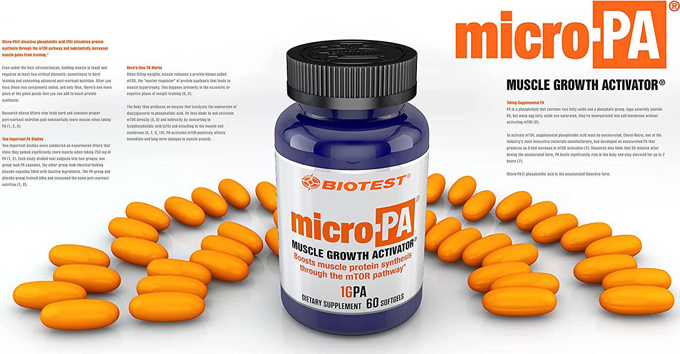 Micro-PA Phosphatidic Acid (1G per Serving) - Boost Muscle Gains, for Hard Workouts - 60 Softgels