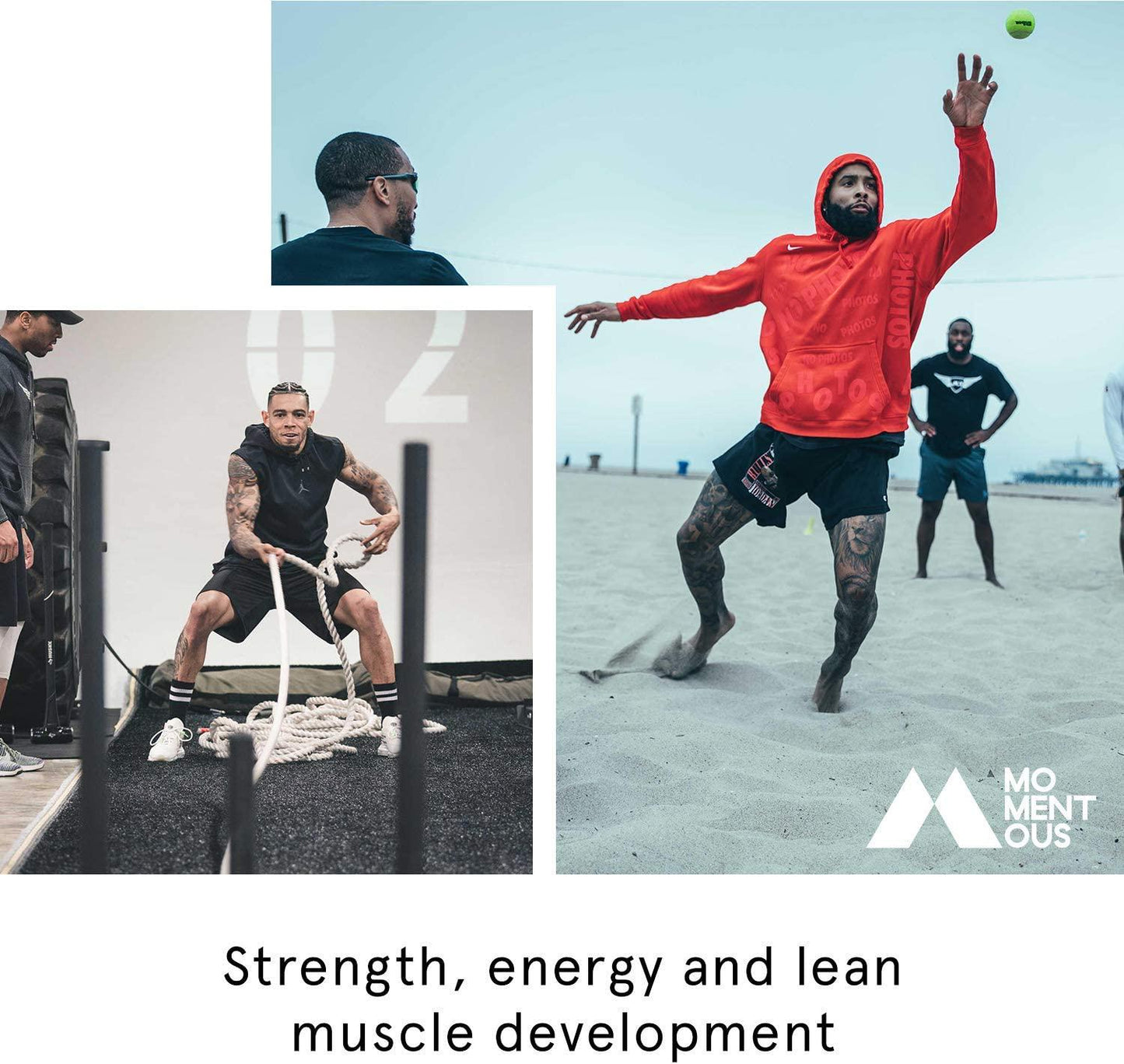 Momentous Creatine, Creapure Performance Creatine Monohydrate Powder (5 Grams Per Serving)