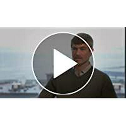 MoodBiotic Probiotics for Women and Men - Probiotic Lactobacilli Supplement w/ 6 Billion CFU for Better Mood, Stress Management, Improved Cognition and Gut Health (30ct) - w/ Cerebiome