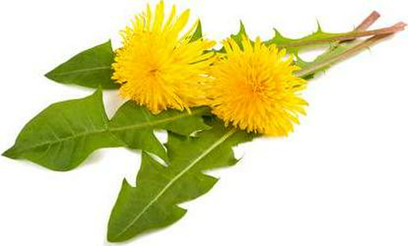 Natural Diuretic Water Pill Guaranteed to Eliminate Water Retention