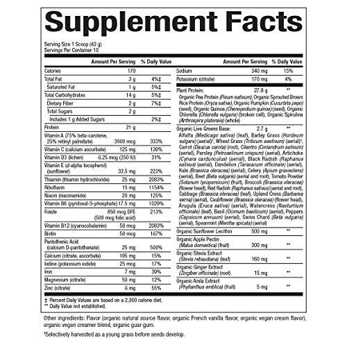 Natural Factors, VegiDay Vegan Organic All in One Shake and Go Raw Vegan Protein with Organic Superfoods, French Vanilla, 15.2 oz