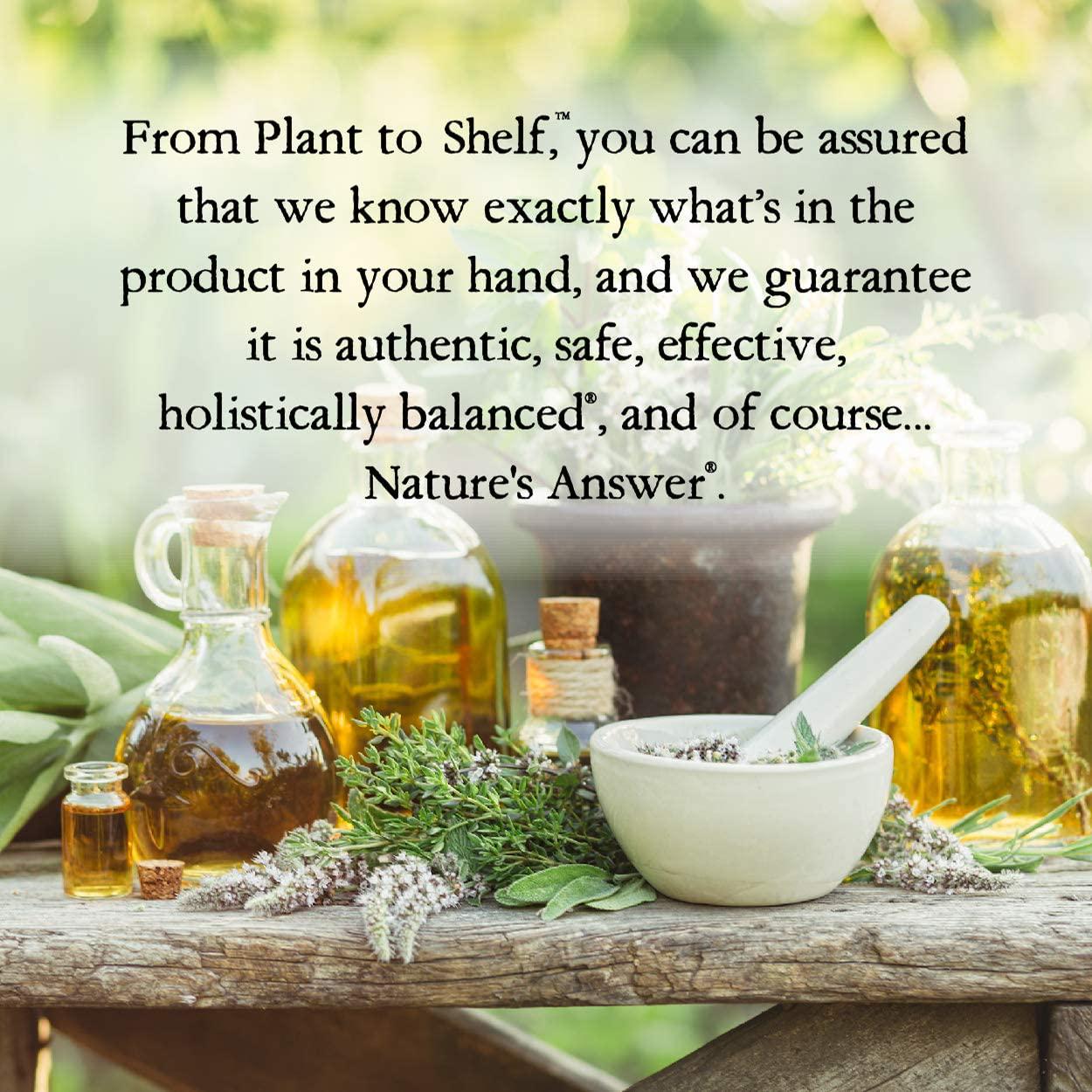 Nature's Answer Raspberry Leaf with Organic Alcohol 1 Fluid Ounce | Natural Weight Management | Natural Energy | Promotes Digestive Health