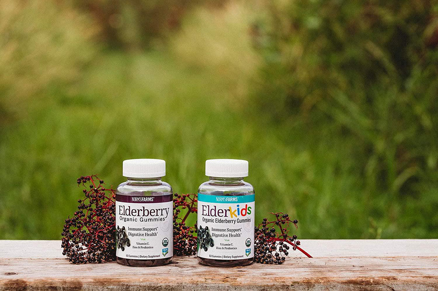 Norm's Farms ElderKids Organic Elderberry Vegan Gummies with Vitamin C, 60 Count, Pack of 2