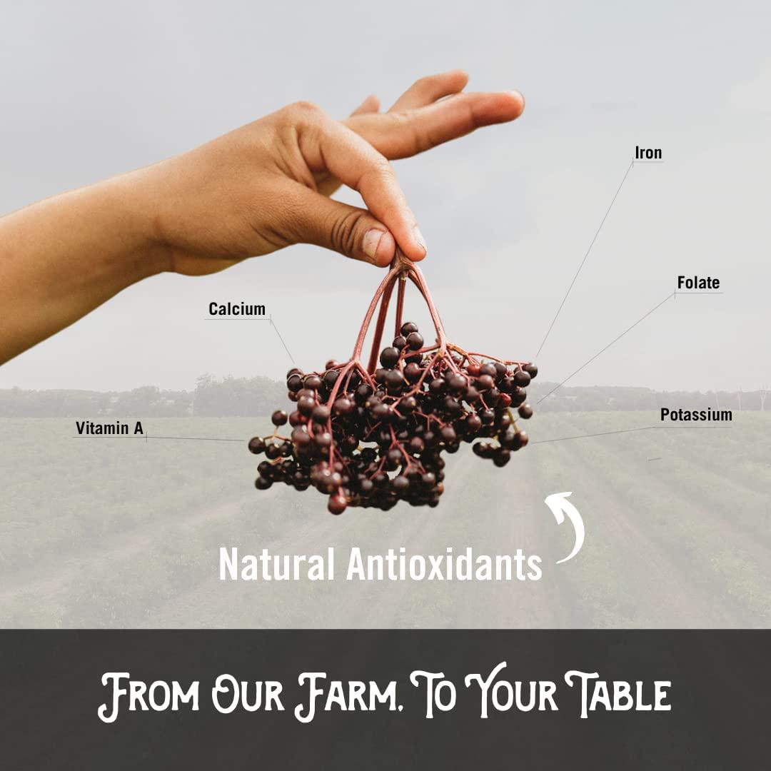 Norm's Farms Farm to Table ElderCran, Black Elderberry and Cranberry Extract, 8 oz