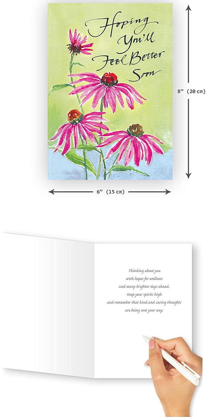 Northern Cards - Get Well Card - Echinacea (Hoping You'll Feel Better Soon) - Large