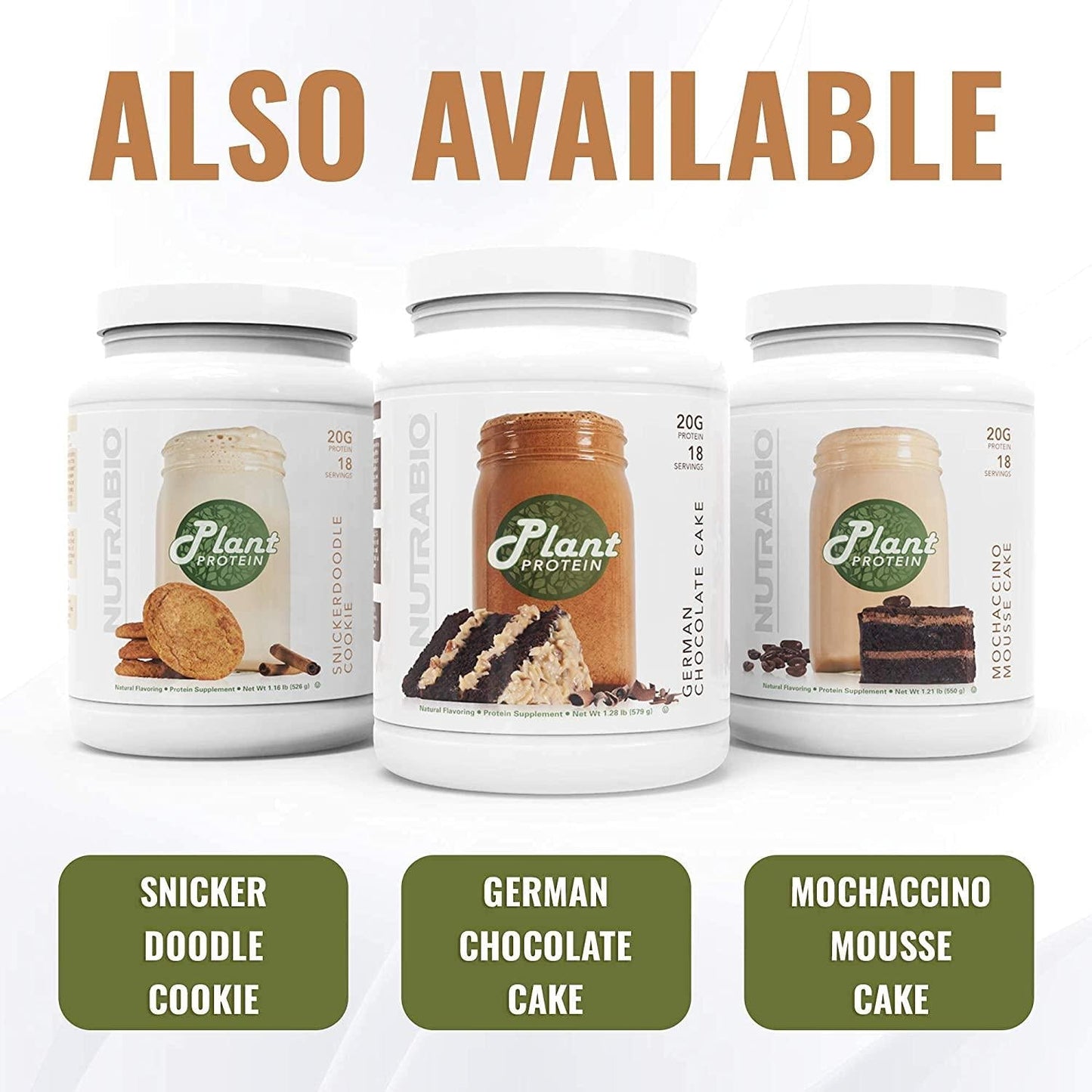 NutraBio Plant Protein Complete Amino Acid Profile 20G of Protein per Scoop Gluten and Dairy Free, Zero Fillers, Naturally Sweetened, Non-GMO, USA Made Protein Powder - Snickerdoodle Cookie