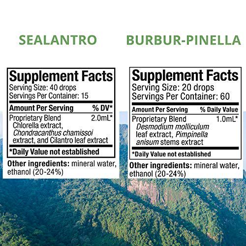 NutraMedix Detox Set - 3-Piece Kit with Sealantro, Burbur-Pinella and Magnesium Malate for Cleansing, Detox and Daily Wellness Support - Plant-Based Liquid Detox Drops and Daily Capsules