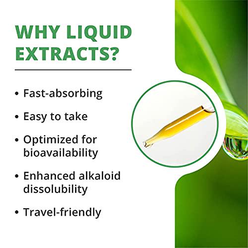 NutraMedix Maca Tincture - Peruvian Maca Root Extract Drops (2 Ounces, 60 Milliliters)