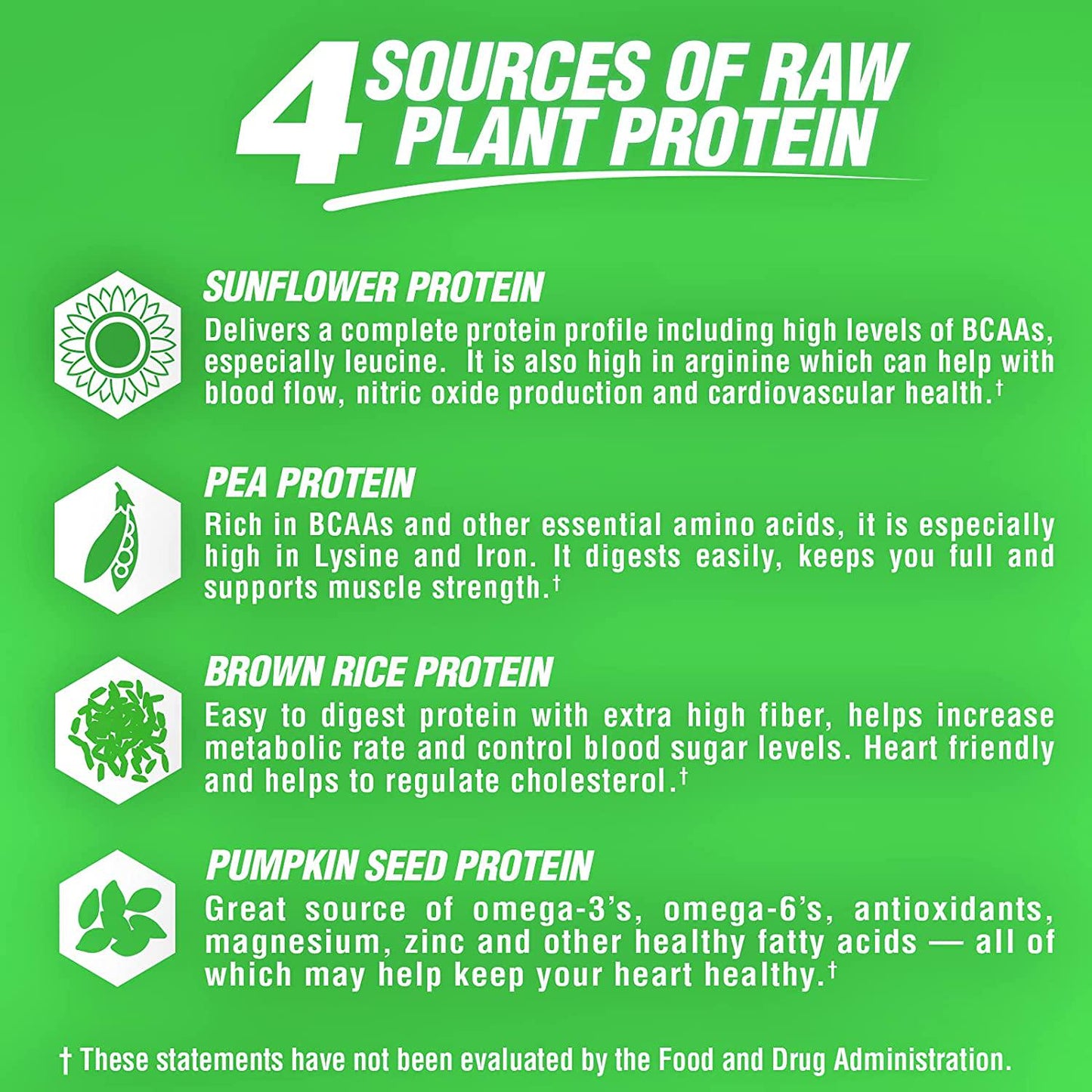 Nutrex Research Plant Protein | Great Tasting Vegan Plant Based Protein Powder | No Artificial Flavors, Colors, or Sweeteners, Gluten Free, Lactose Free | 18 Servings (German Chocolate Cake)