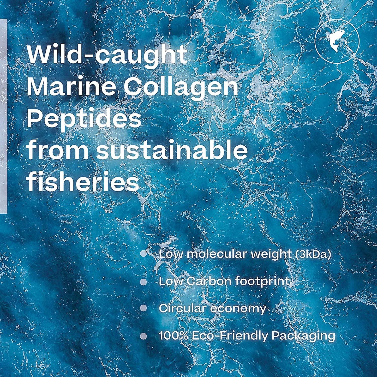 Oceancoll Marine Collagen Powder with Vitamins B6, B12, C, D3, Zinc and Chlorella | Immune Support Supplement | Marine Collagen Peptides | Amino acids for Skin, Hair and Nails | 11.64 oz | 60 doses