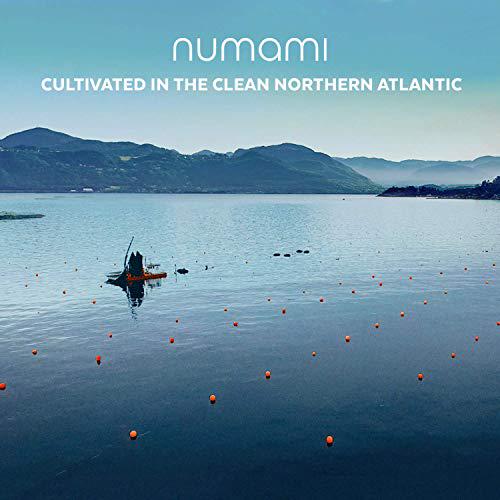 Organic Atlantic Dulse Seaweed together with Detox and Energy Smoothie Mix. Ultimate Detoxification and Metabolism Boost Giving You More Energy Without Caffeine.