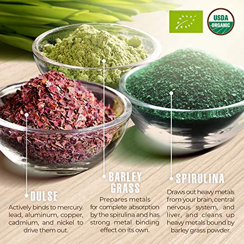 Organic Green Detox and Digest Powder- Prebiotic Green Superfood for Ultimate Detoxification and Digestive Cleanse - Your Daily Green Smoothie with alkaline supergreens for Full Body Cleanse and detox