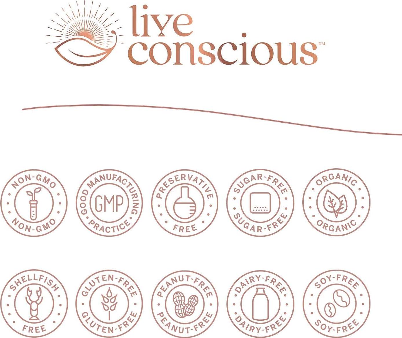 Organic Pea Protein Powder - Vanilla Dream Flavor | Low-carb Plant-Based Vegan Protein Blend - Pea, Brown Rice, Pumpkin, Sacha Inchi | 20 Servings 18.2 oz - by Live Conscious