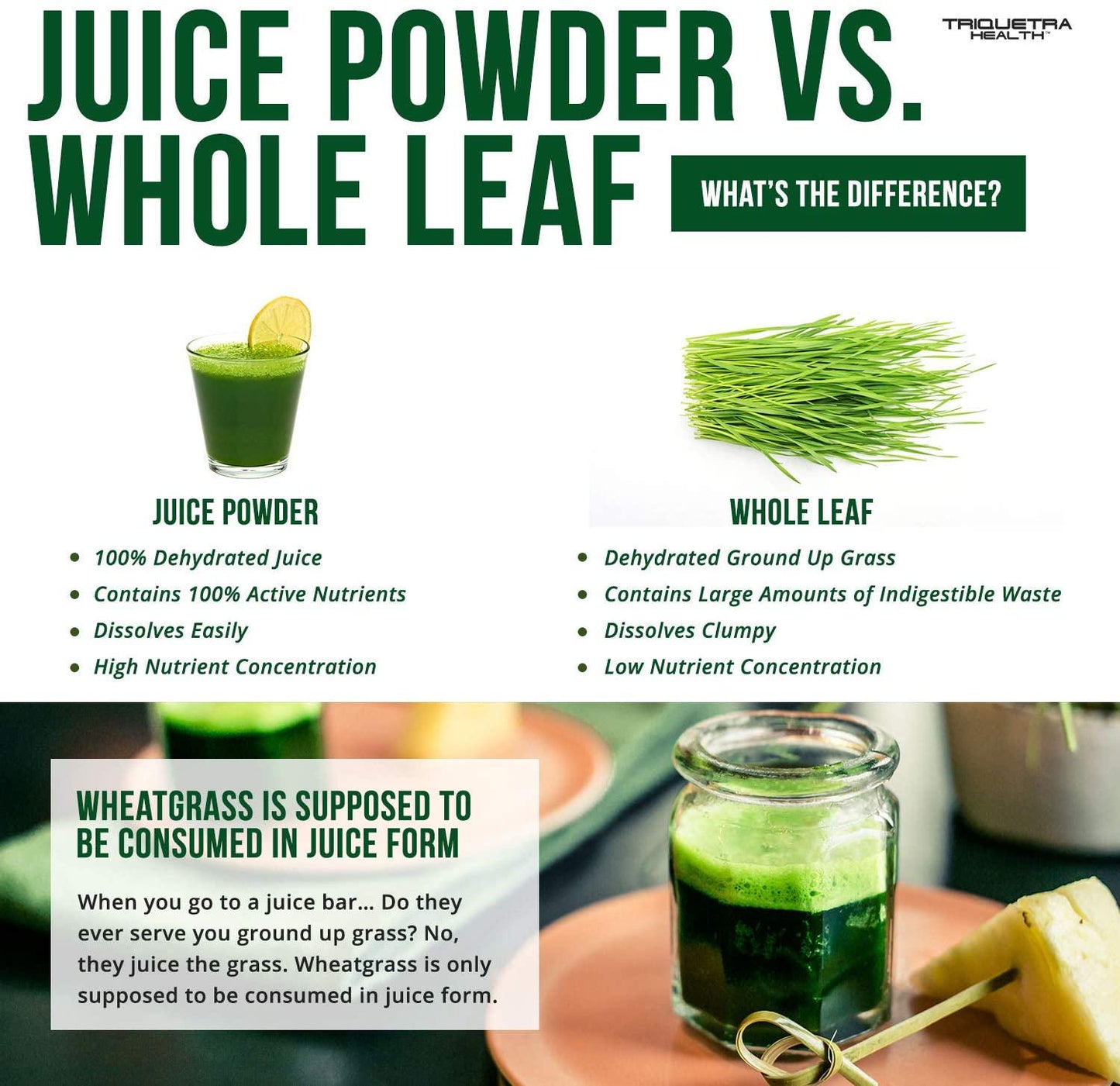 Organic Wheatgrass Juice Powder - Grown in Volcanic Soil of Utah - Raw and BioActive Form, Cold-Pressed Then CO2 Dried - Complements Barley Grass Juice Powder - 5.3 oz