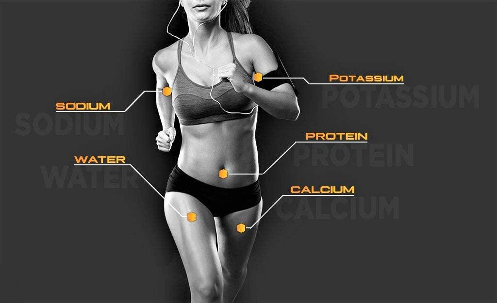 PerfectAmino Electrolytes - Mixed Berry Flavor (50 Servings): Complete Electrolyte Powder with Perfect Amino, Sugar Free (Packaging May Vary)