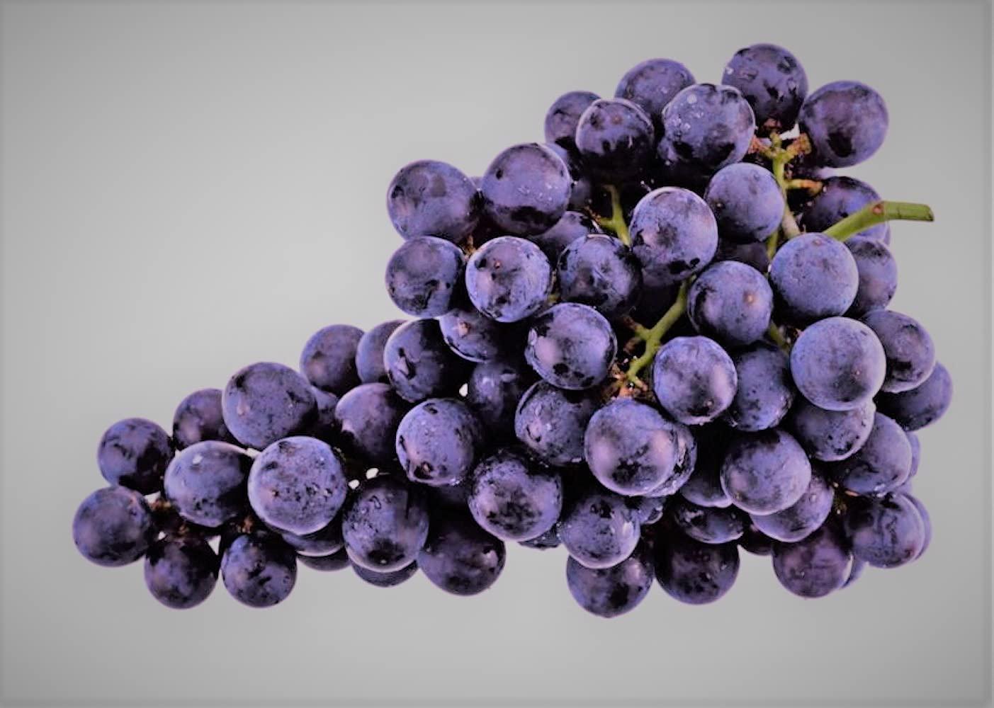 REPONE SUERO Electrolyte Solution with Zinc, Rehydrates, Restores Minerals and Nutrients, Grape Flavor, 2-Pack of 33.8 Fl Oz 2 Bottles