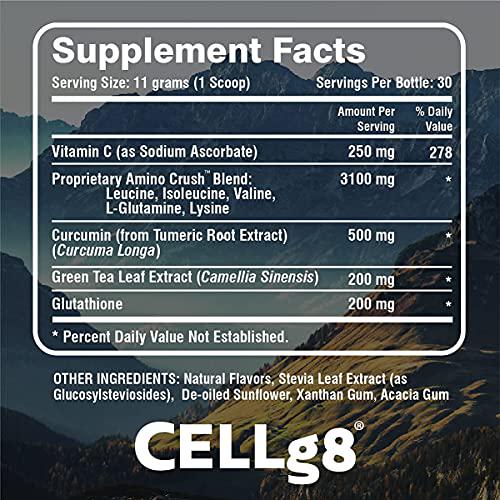 RHIP Recovery All Natural Post-Workout - Doctor Formulated Liposomal Daily Supplement, Reduced Soreness, Increased Muscle Growth, Improved Immune Function. Post Workout for Women and Men.