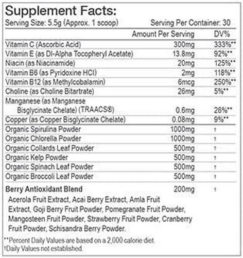 Science-Based Green Detox - Superfood Drink Mix - Sugar Free, Vegan-Friendly (Chocolate Mint)