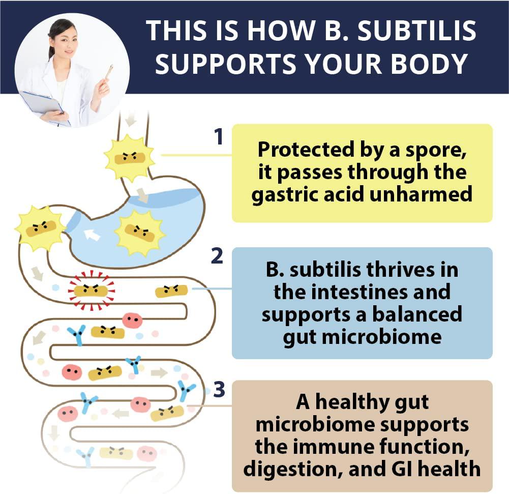 Sonomono Natto Powder Classic - Natural Japanese Probiotics to Support Gut Health and Immune System - 50 g, 1 Month Dosage