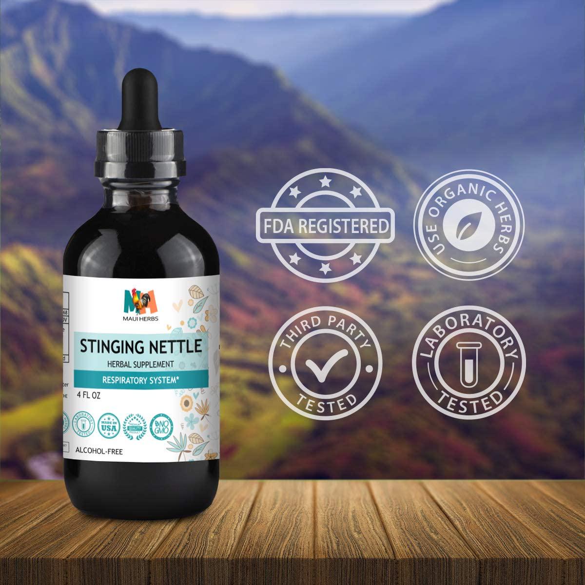 Stinging Nettle Tincture 4 FL OZ Alcohol-Free Liquid Extract, Organic Stinging Nettle Leaf and Root (Urtica Dioica)