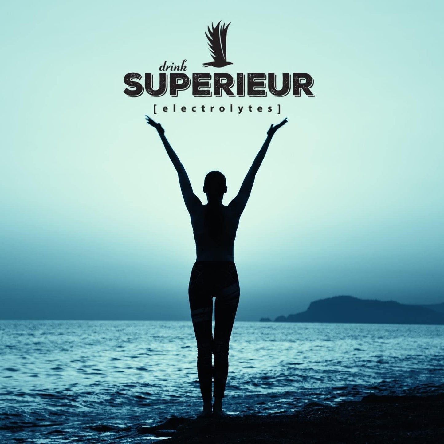 Superieur Electrolytes - Electrolyte Powder Fresh Citrus - 15 Packet(s)