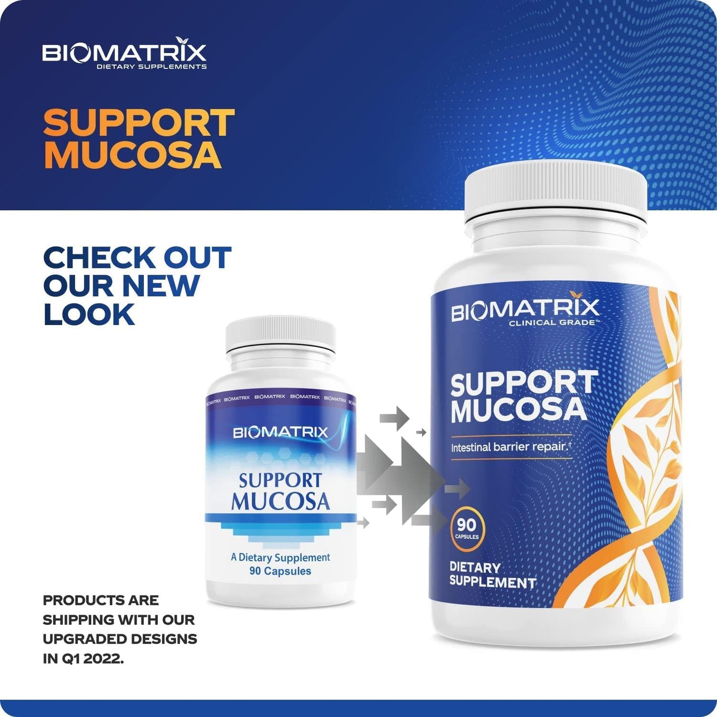Support Mucosa 90 Capsules - Aids Intestinal and Gut Repair, Support for Mucosal Barrier, Leaky Gut, Food Allergies and Sensitivities, Increase Immune Function, Aid Inflammation