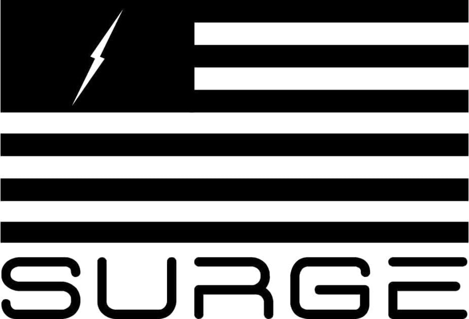 Surge Supplements Active Pump - Non Stimulant Pre Workout, Increased Vascularity and Endurance, Helps Blood Flow, Supports Muscle Growth, Zero Caffeine, Nitric Oxide Booster - Pina Colada