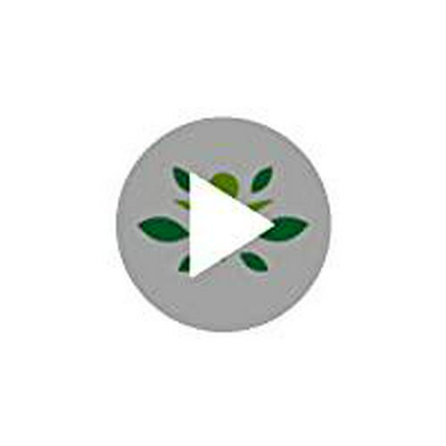 Swanson Certified Organic Oat Bran Fiber 8 Ounce (227 g) Pwdr