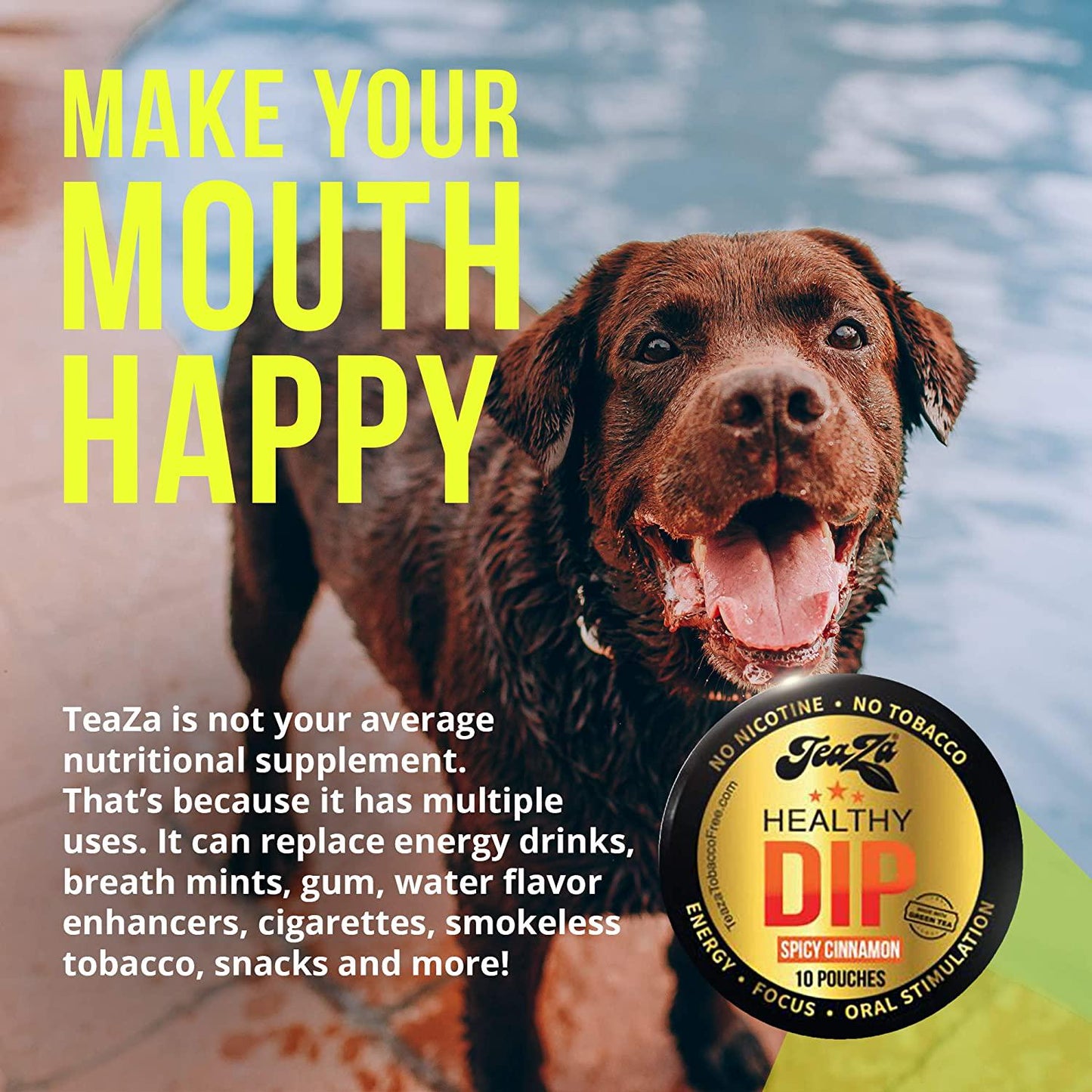 Teaza Herbal Energy Pouch Everyday Kick Bundle - 4 Pucks 2 Peppermint 2 Spicy Cinnamon Tobacco Replacement