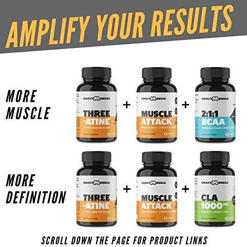 The Basics: Muscle Attack is a Must-Have with Creatine