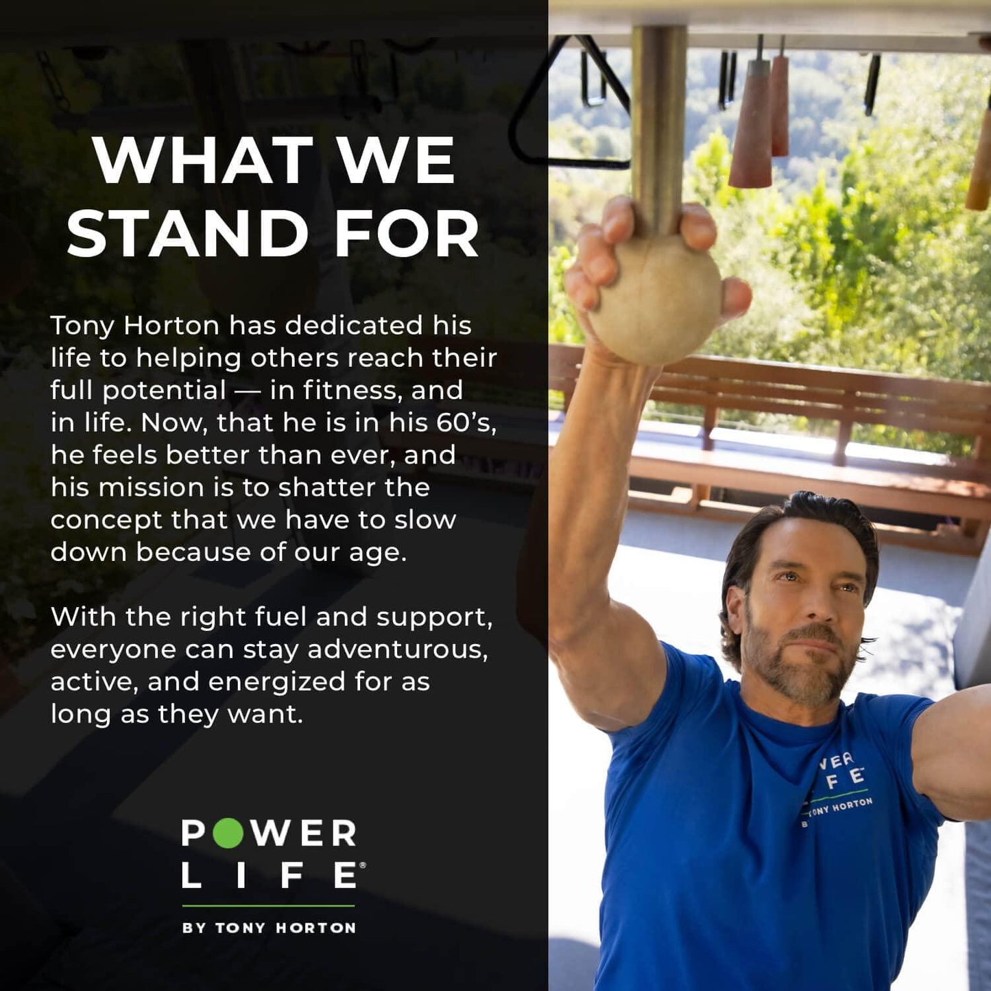 Tony Horton PowerLife High Impact Grass Fed Whey Protein with 3000 MG of HMB, No Sugar Added, Non-GMO, Hormone and Antibiotic Free 15 Servings (Vanilla)