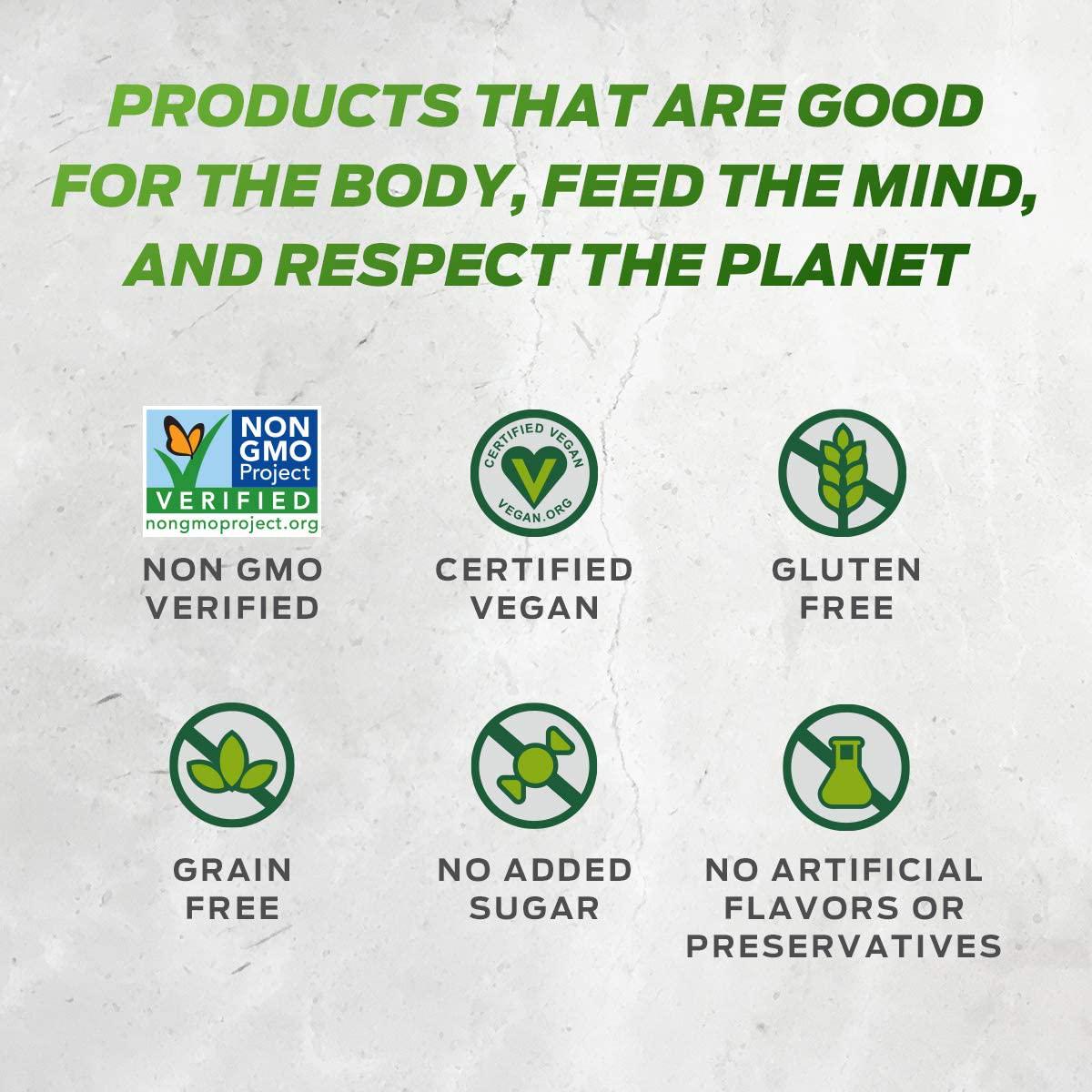 Vega Essentials Plant Based Protein Powder, Chocolate, Vegan, Superfood, Vitamins, Antioxidants, Keto, Low Carb, Dairy Free, Gluten Free, Pea Protein for Women and Men, 2.4 Pounds (30 Servings)