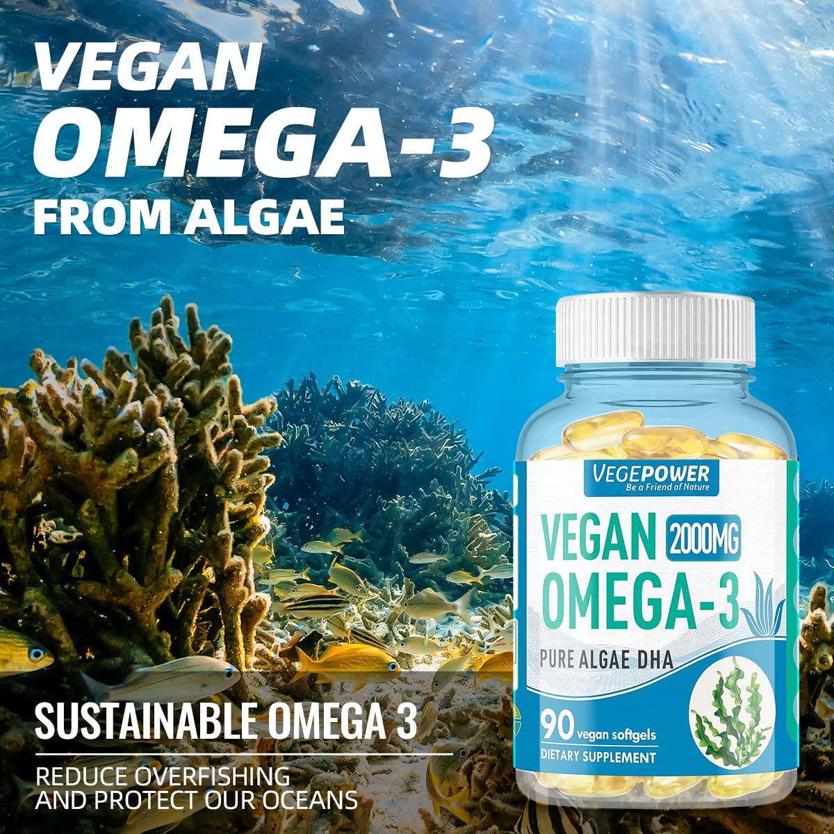 Vegepower Vegan Omega 3 DHA Supplement, Fish Oil Alternative, 2000mg Algae Oil for Brain, Heart, Eyes Health, Immune System Support, Plant-Based, Non-GMO, Vegan DHA Prenatal Supplement - 90 Softgels