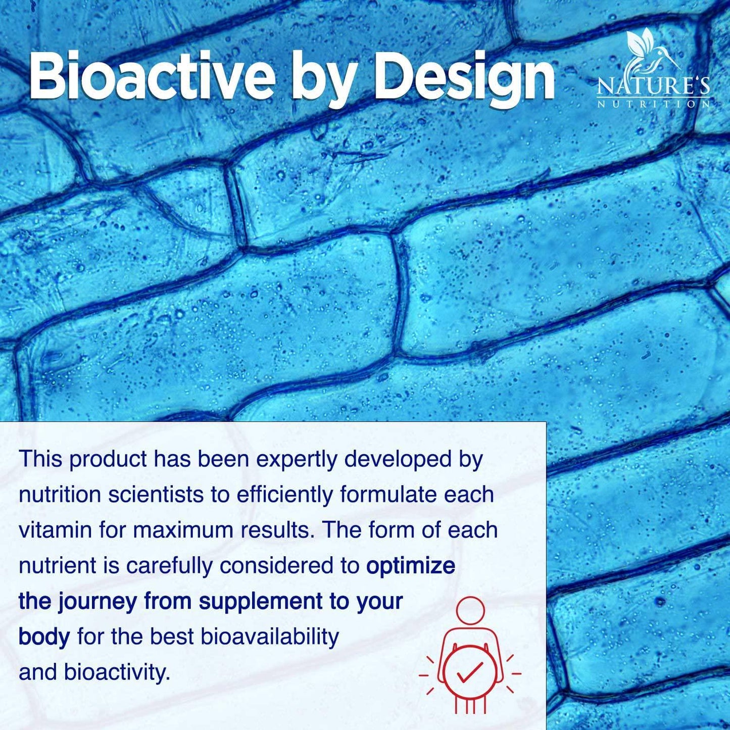 Vitamin B Complex Plus - Complete B Vitamins - 3X Strength Natural Energy Support, with Thiamine (B1), Riboflavin (B2), Niacin (B3), Folate, Biotin, B6, and B12 - All 8 B Vitamins - 120 Capsules