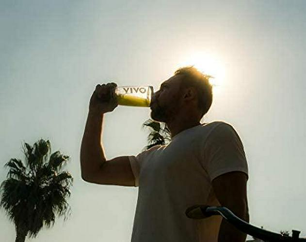 Vivo Life Perform Vegan Protein Powder, Raw Cacao Flavor - BCAA Pea and Hemp Blend Plant-Based Protein Shake (34.8 oz)