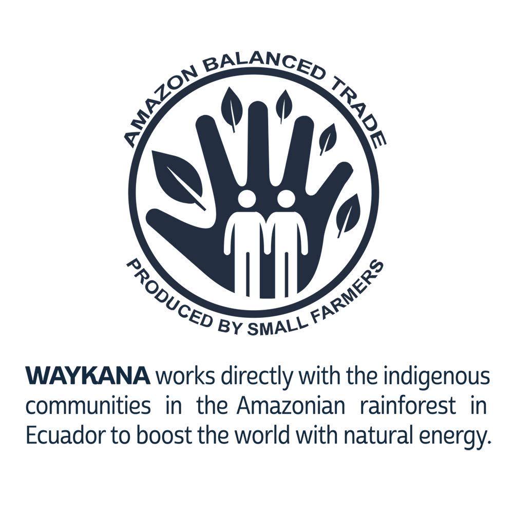 WAYKANA Guayusa Organic Leaf Energy Tea Powder | Antioxidant Natural Energy Powder and Nutritional Guayusa Tea | Super Food Mental Focus and Energy Guayusa Powder Drinks, 300g (150 Servings)