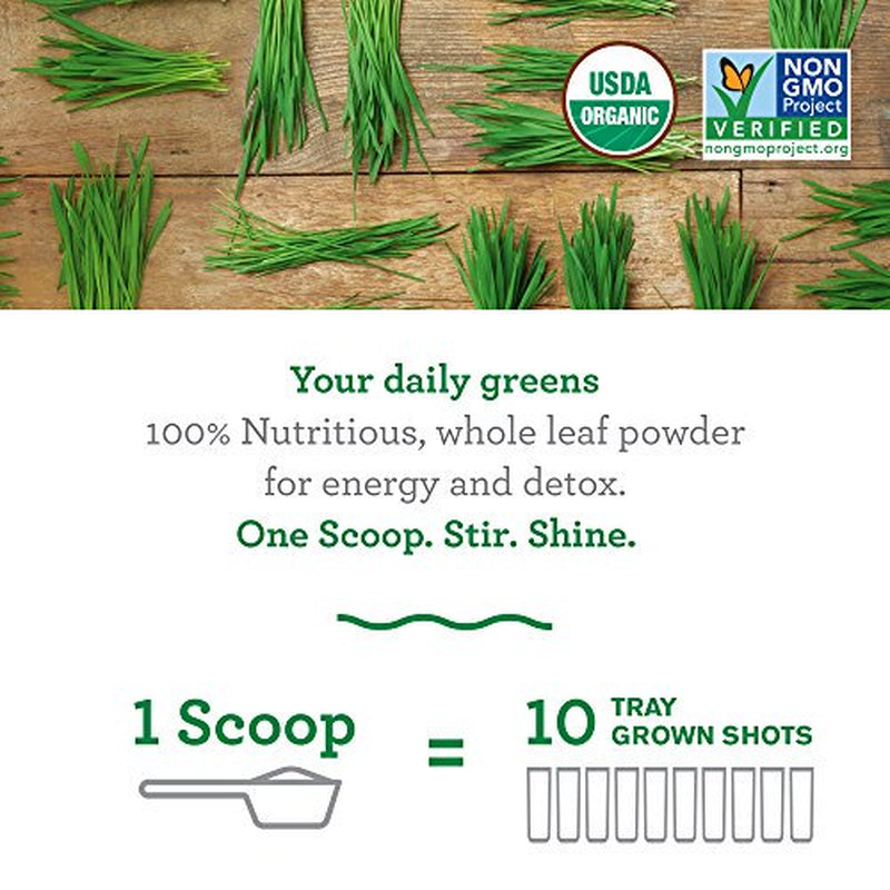 Amazing Grass Wheat Grass Powder: 100% Whole-Leaf Wheat Grass Powder for Energy, Detox & Immunity Support, Chlorophyll Providing Greens, 30 Servings