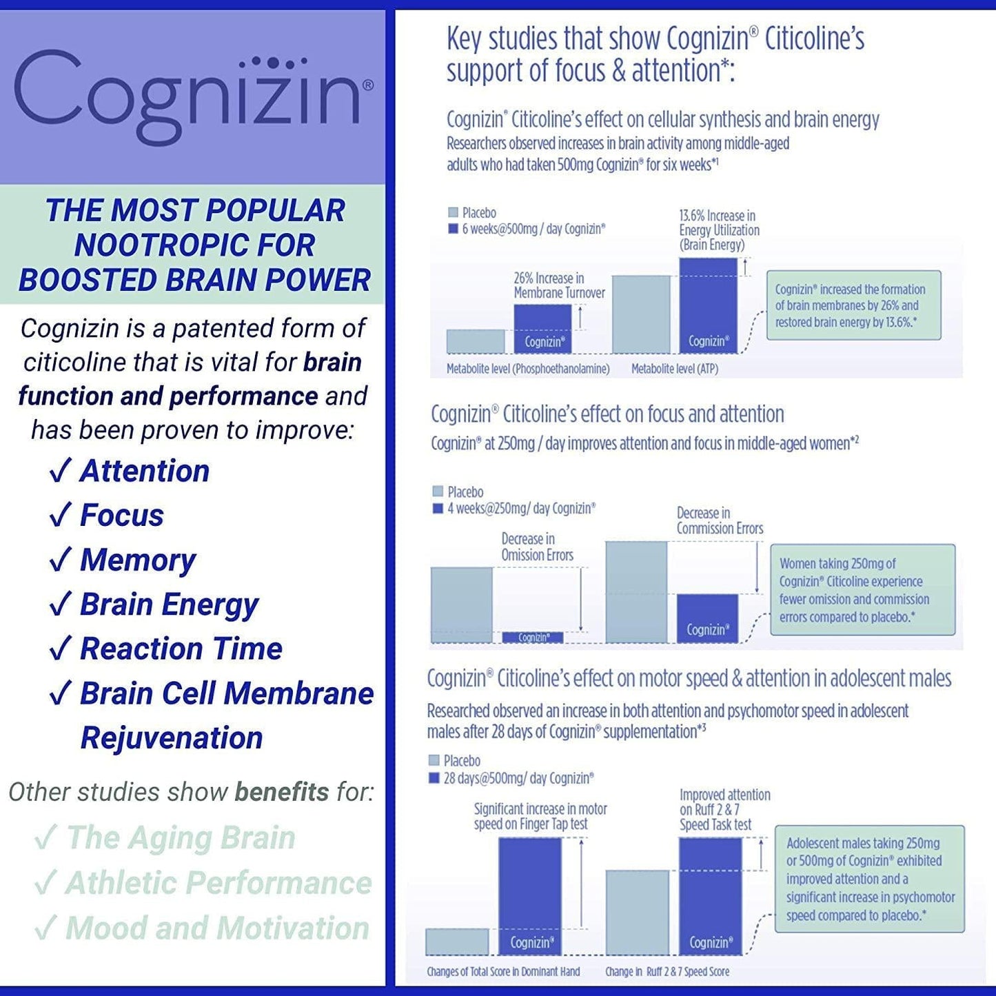 myPEAK Brilliance Nootropics Brain Support Supplement for 8-Hour Energy and Focus, Pre-Workout, Caffeine Drink Alternative, Teacrine Supplement for Good Brain Health, 30 Capsules