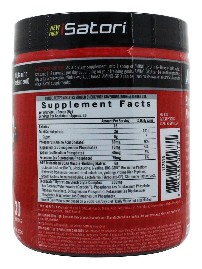 Isatori - Amino-Gro Muscle Building Amino Acid Formula Blue Razz Snow Cone - 9.52 Oz.