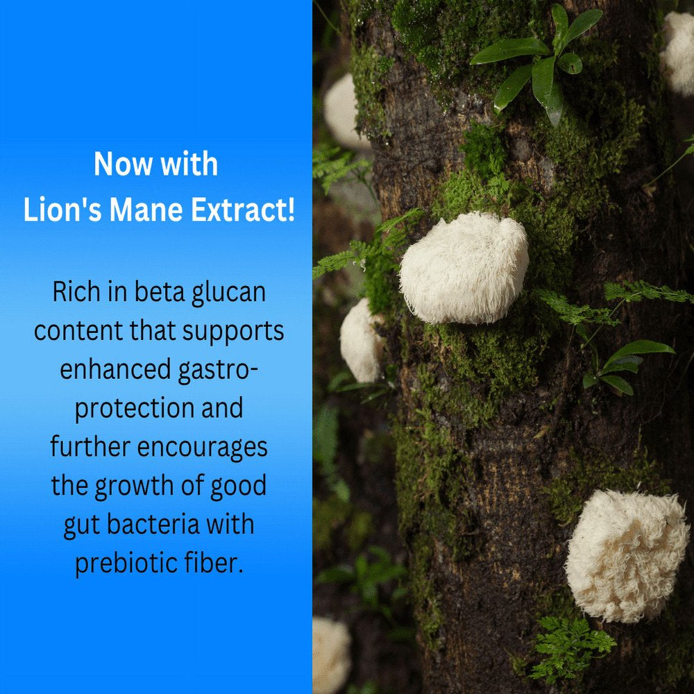 Baxyl GI - Gut Health & Digestive Support Liquid with Prebiotic - 36 Day Supply