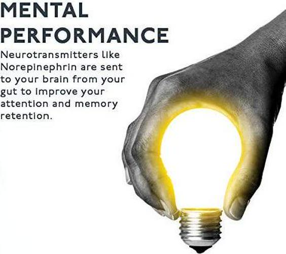 100% Natural Fulvic Acid by NZ Fulvic, Extracted and Made in New Zealand, Organic, Mineral Rich Blend, Liquid Food Supplement, 16.9 fl oz (Twin Pack)