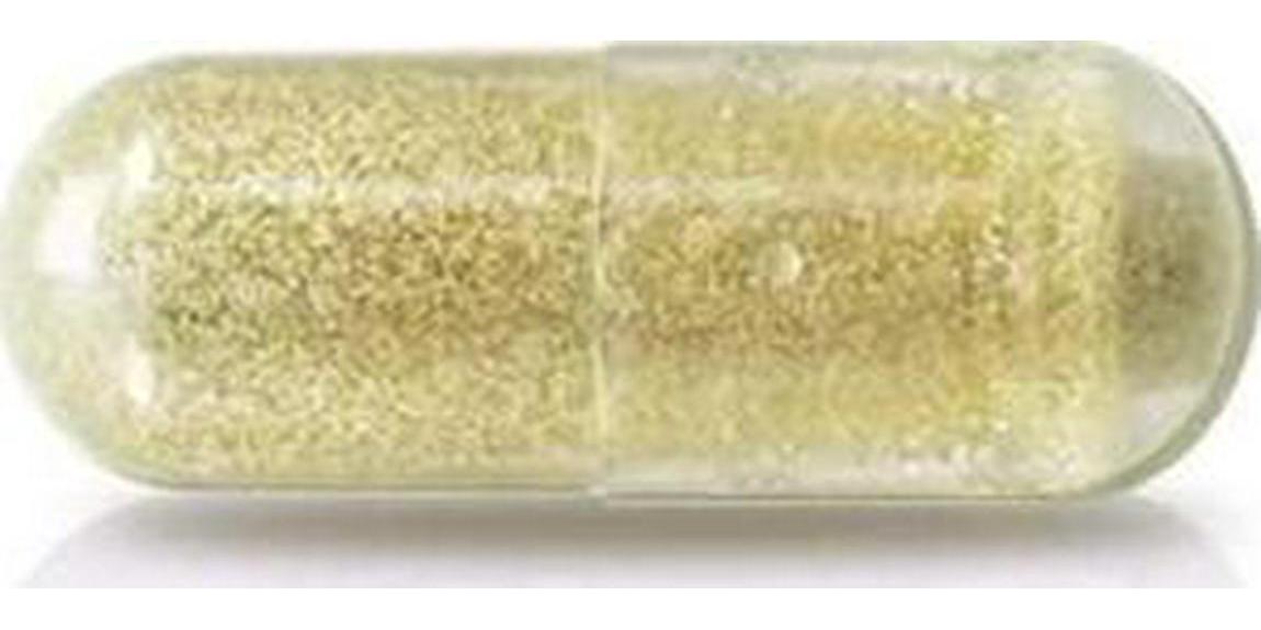 10:1 Concentrated Moringa 500mg 120 Capsules