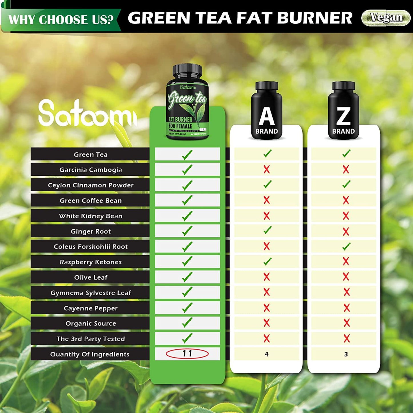 11in1 Green Tea Extract Fat Burner for Women With Garcinia Cambogia, Ceylon Cinnamon, White Kidney Bean, Ginger, Forskohlii, Raspberry Ketones, Olive, Gymnema Sylvestre and Others - 60 Veggie Capsules