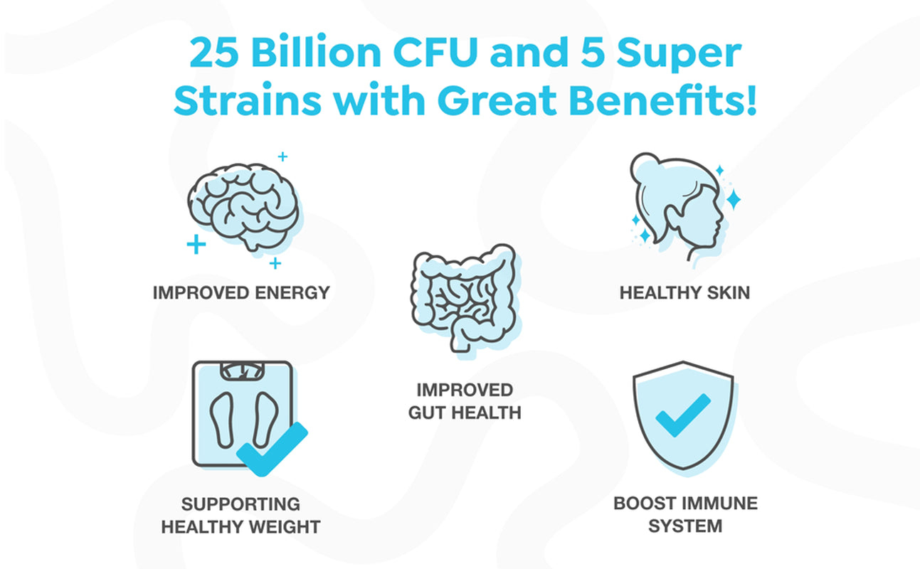 Floraspring Dr Formulated Probiotics Revival Point - Daily Gut Health Supplements -Bloating, Metabolism & Digestive Health