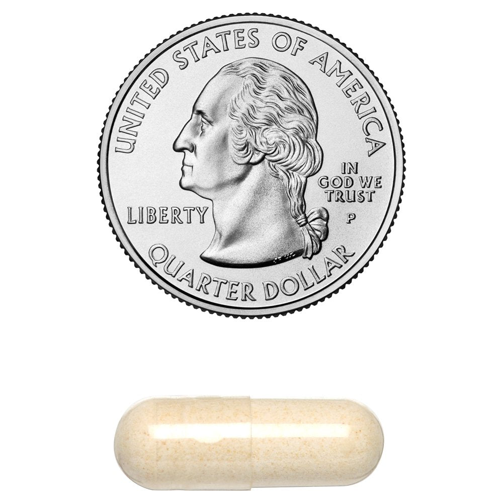 Klaire Labs Interfase - Digestive Enzyme Blend to Support GI Detox & Gut Flora Balance - Dairy-Free (120 Vegetarian Capsules)