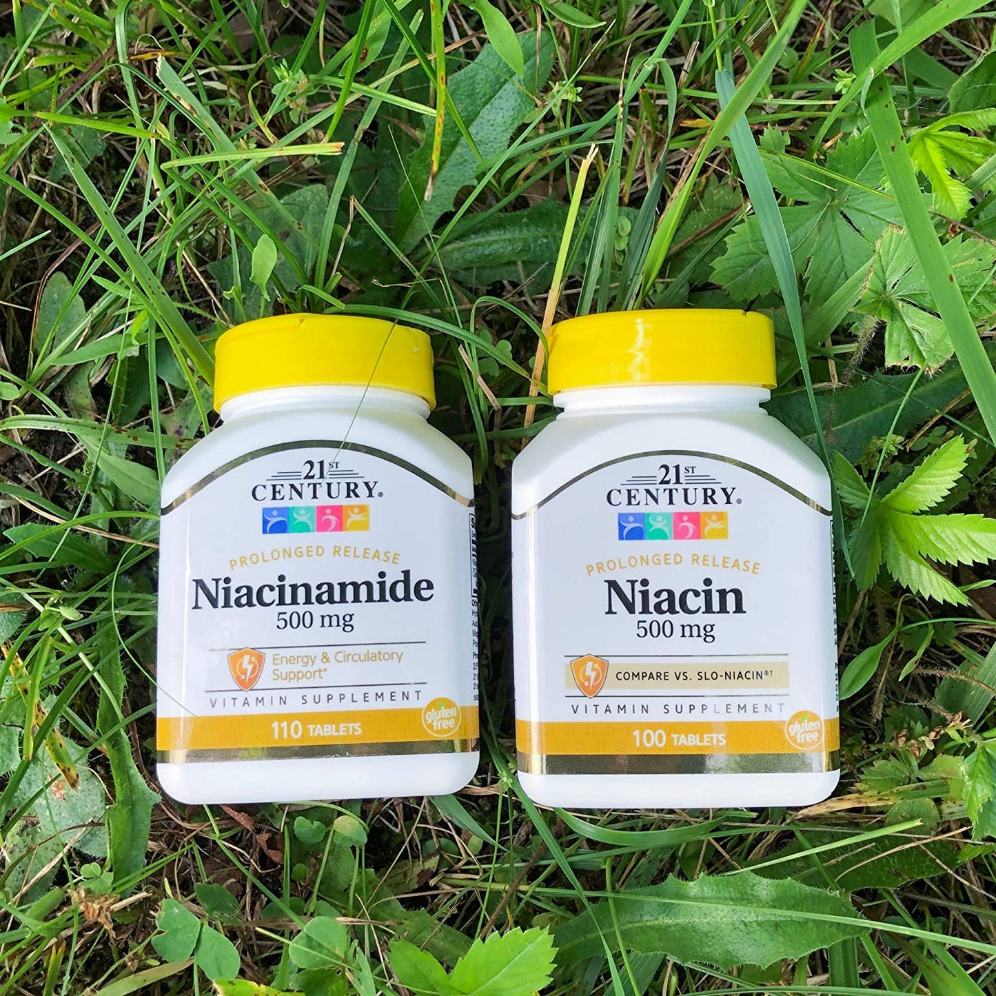 21st Century Niacinamide 500 mg Prolonged Release Tablets, 110 Count