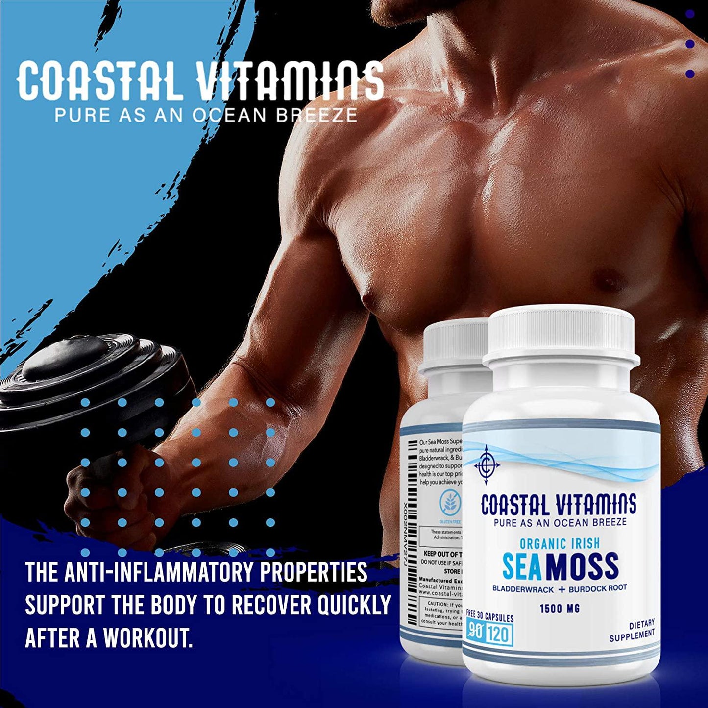 2 PK Wildcrafted Organic Irish Sea Moss Bladderwrack and Burdock Root 240CT Non-GMO, Vegan, No Fillers