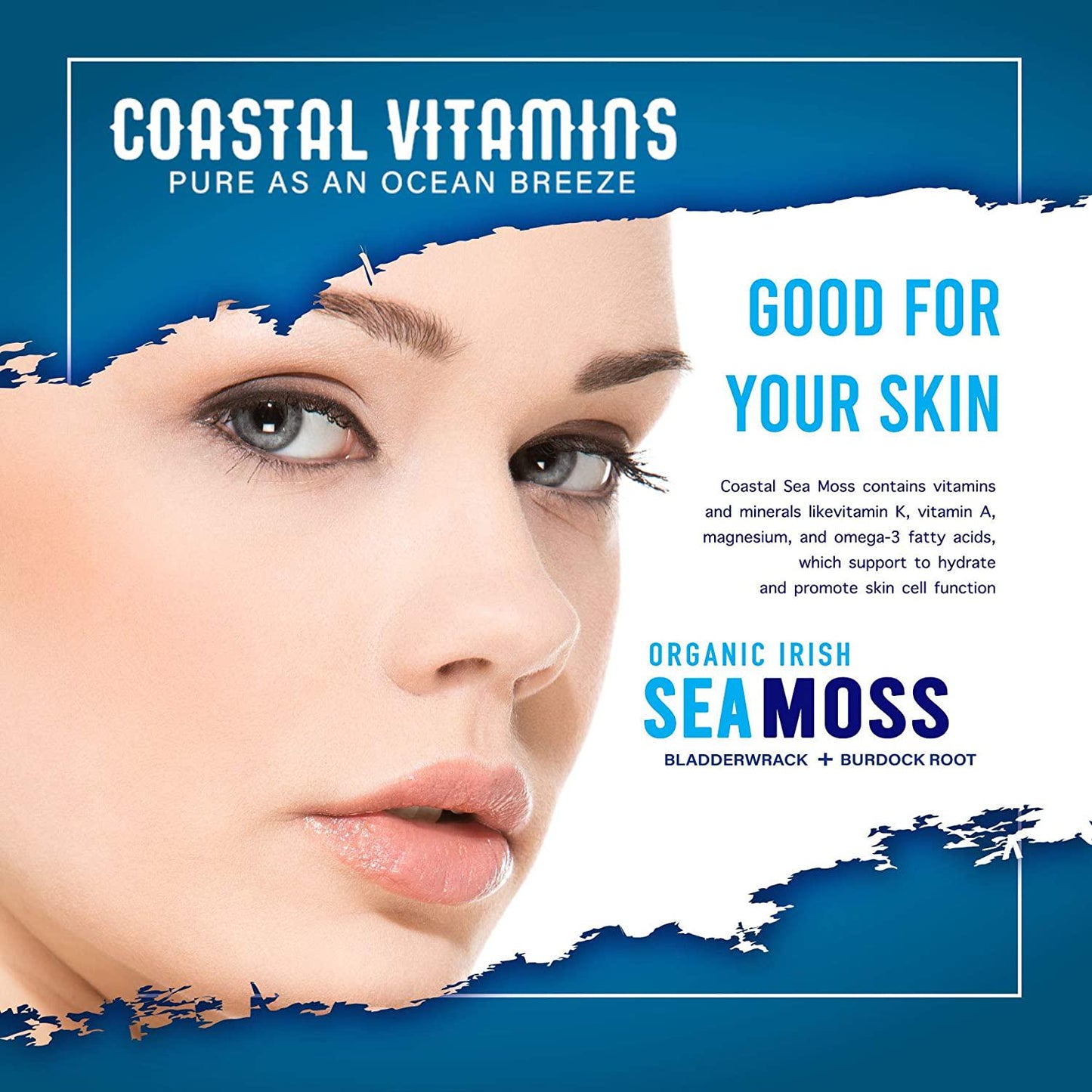 2 PK Wildcrafted Organic Irish Sea Moss Bladderwrack and Burdock Root 240CT Non-GMO, Vegan, No Fillers